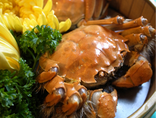 �������lз�����РI�B���з�Է�